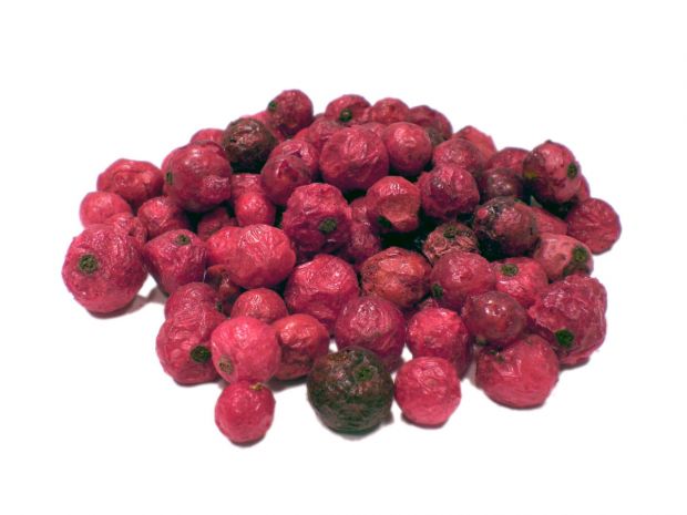 BIO Rote Johannisbeeren gefriergetrocknet Frischedose
